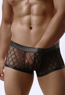 Sexy Mens Lingerie Shorts